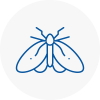 Moth Control Specialists In Denham